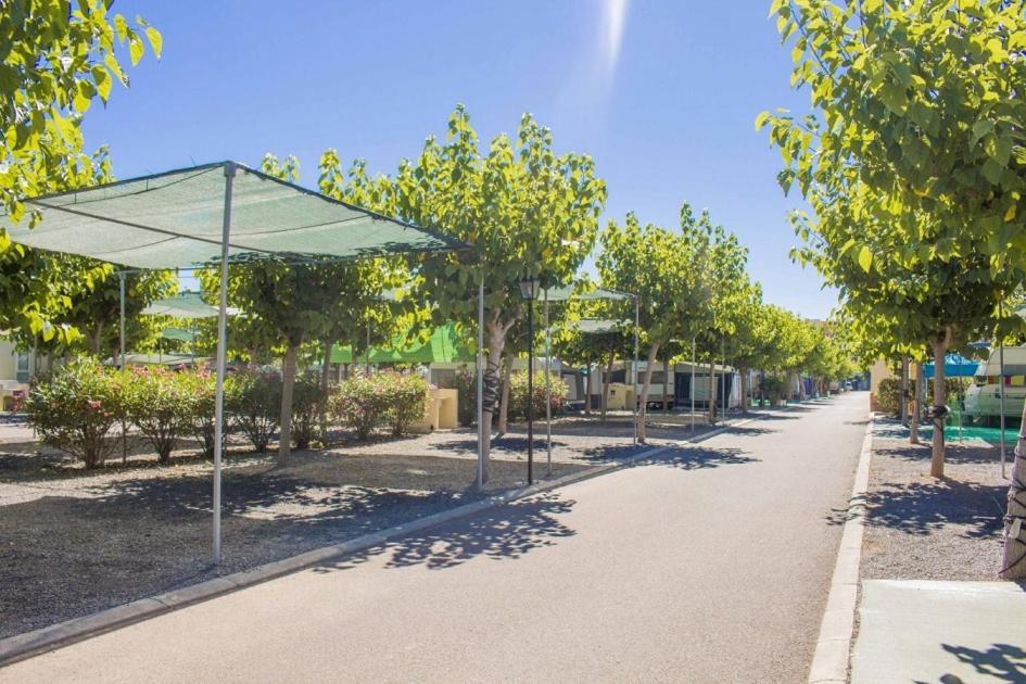 Camping Y Bungalows Monmar Moncófar Buitenkant foto