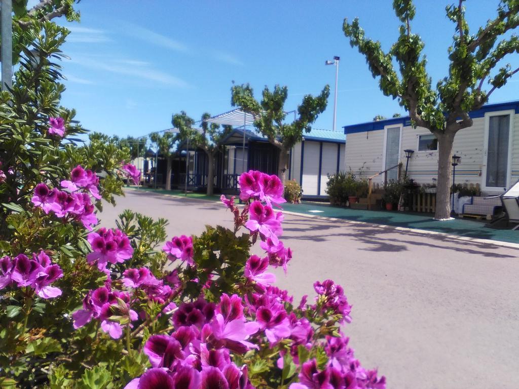 Camping Y Bungalows Monmar Moncófar Buitenkant foto
