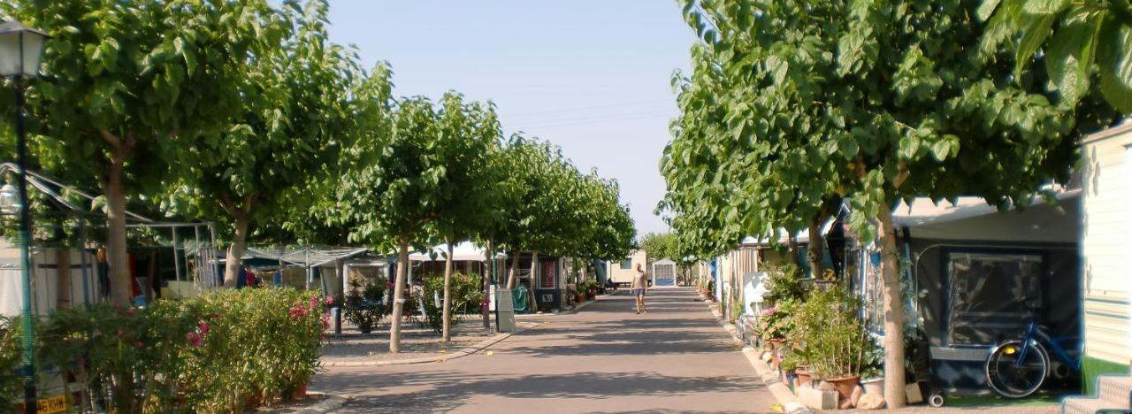 Camping Y Bungalows Monmar Moncófar Buitenkant foto
